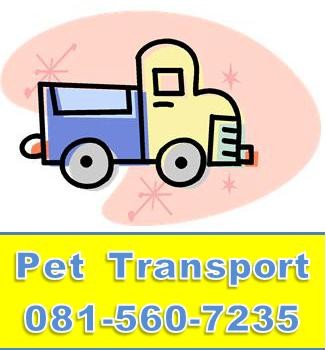 Pet Transport บริการ ขนส่ง สัตว์เลี้ยง น้องหมา น้องแมว ฯลฯ (ไปต่างจังหวัดได้) รูปที่ 1