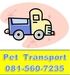 รูปย่อ Pet Transport บริการ ขนส่ง สัตว์เลี้ยง น้องหมา น้องแมว ฯลฯ (ไปต่างจังหวัดได้) รูปที่1