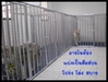 รูปย่อ รับฝากสุนัข รับฝากน้องหมา PetOasis House รูปที่2