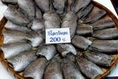 ปลาสลิดบางบ่อ แห้ง หอม อร่อย เนื้อนุ่ม ตัวใหญ่ ราคาส่งถูก