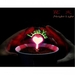 รูปย่อ โคมไฟดอกไม้อุ่นไอรัก Romantic Night Lamp รูปที่6