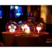 รูปย่อ โคมไฟดอกไม้อุ่นไอรัก Romantic Night Lamp รูปที่4