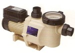 ปั้มสระว่ายน้ำ Hurlcon CTX,BX series pool and spa pumps รูปที่ 1