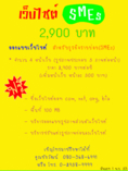 ออกแบบเว็บไซต์ SMEs (ธุรกิจรายย่อย) ราคาประหยัด  2900 บาท (ปทุมธานี,นนทบุรี,กรุงเทพ)