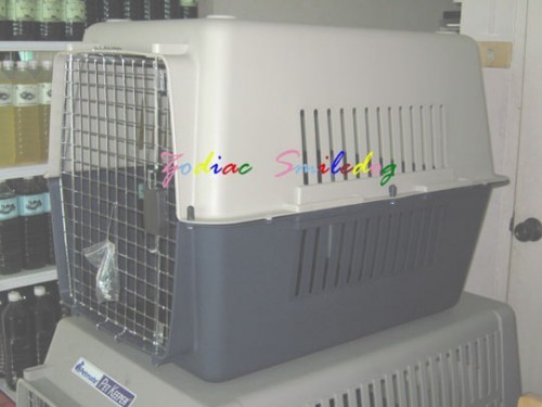 TRAVELL BOX กล่องใส่สุนัข SAFE BOX ใส่สุนัขหรือสัตว์เลี้ยงสำหรับเดินทาง(สินค้านำเข้า) รูปที่ 5