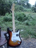 ขายกีต้ารไฟฟ้า Fender Standard Stratocaster