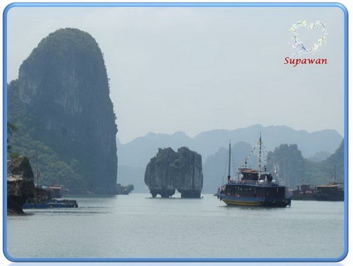 คุณคิดว่าอะไรคือจุดขายในการทำธุรกิจเครือข่าย รูปที่ 5