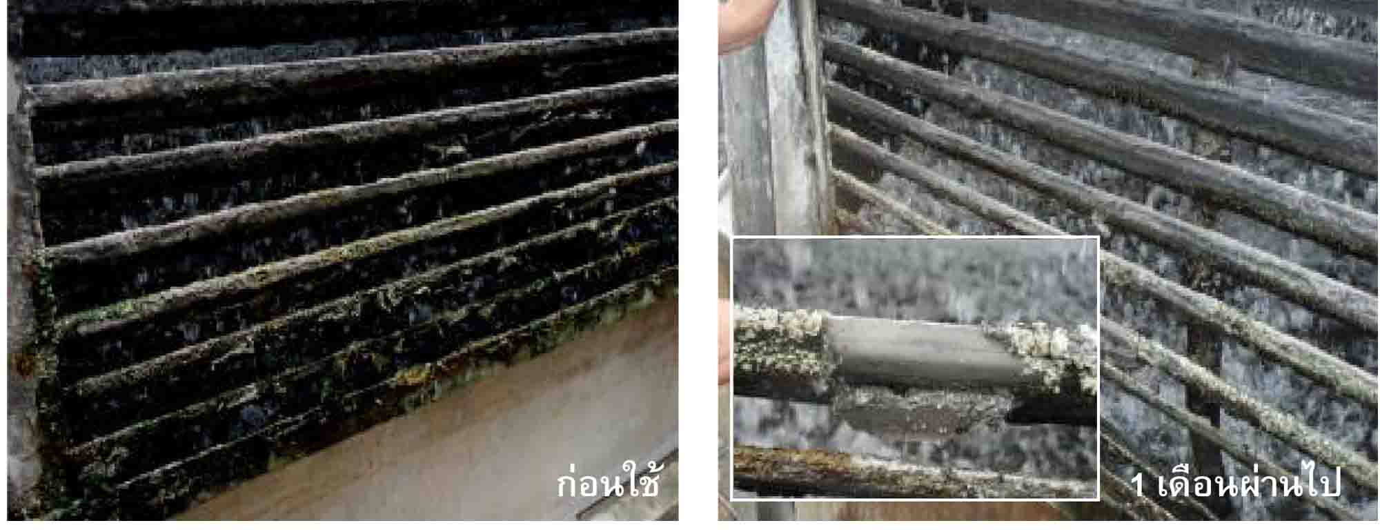  MICRO-NICE D-5ใช้ในระบบทำความเย็นที่ใช้น้ำ ช่วยลดการสะสมของหินปูนช่วยชะล้างทำความสะอาด ของพื้นผิวของระบบสนใจ0819218788 รูปที่ 6