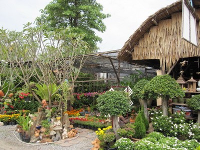 ให้เซ้งร้านขายต้นไม้ ในตลาดต้นไม้สวนหลวงการ์เด้น อยู่ ถ. เฉลิมพระเกียร์ติ ร.๙ ระหว่าง ซ,68-70 รูปที่ 1