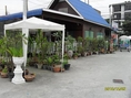 (ไม่ต้องเซ้ง) ให้เช่าร้านอาหารพื้นที่กว่า 200 ตรม ติดถนนสุขุมวิท 105 มีที่จอดรถ ทำเลดี