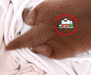 รูปย่อ ลูกสุนัขลาบราดอร์ สีช็อค น่ารักๆ chocolate puppy labrador ลาบราดอร์ Labrador Retriever ป้องกันพยาธิหนอนหัวใจ เห็บ หมัด ไ รูปที่7