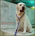 รูปย่อ ลาบราดอร์ LABRADOR ฟาร์มลาบราดอร์  รูปที่1