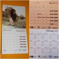 ปฏิทินภาพชุด Elephant Charity Calendar 2011