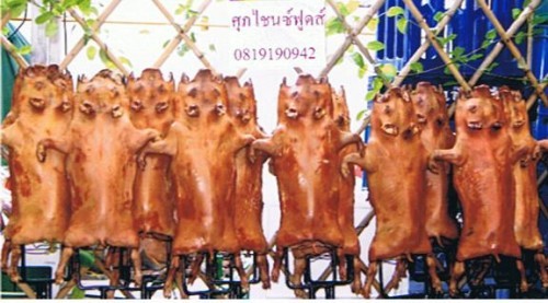 ขายส่งหมูหันจำนวนมากทั้งในและต่างประเทศจากฟาร์มมาตราฐานพร้อมบริการรับหันนอกสถานที่ด้วยทีมงานมืออาชีพสูตรฮ่องกง รูปที่ 1