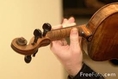 รับสอนเครื่องดนตรี Violin