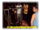 ท่อตัน ส้วมตัน 0814927165 สูบส้วม,ลอกท่อ,ล้างบ่อน้ำเสีย24ช.ม รูปที่ 7