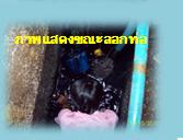 ท่อตัน ส้วมตัน 0814927165 สูบส้วม,ลอกท่อ,ล้างบ่อน้ำเสีย24ช.ม รูปที่ 4