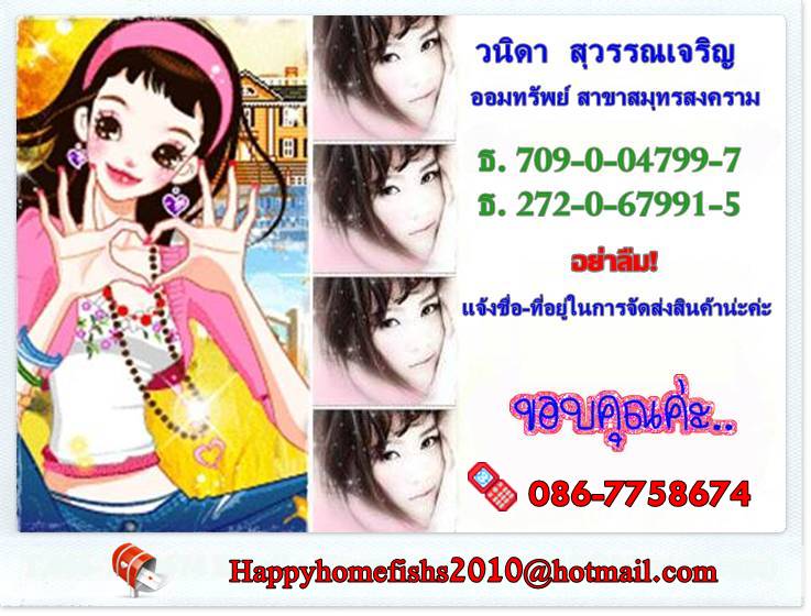 hg9 ปลูกผม เร่งผมยาว ผมร่วง ผมบางผมน้อย บำรุงรากผม HG9 แชมพู่เร่งผมยาว+เซรั่ม HG9 ผมขึ้นช้า ขนตาร่วง เร่งขนตายาว คิ้วยา รูปที่ 5
