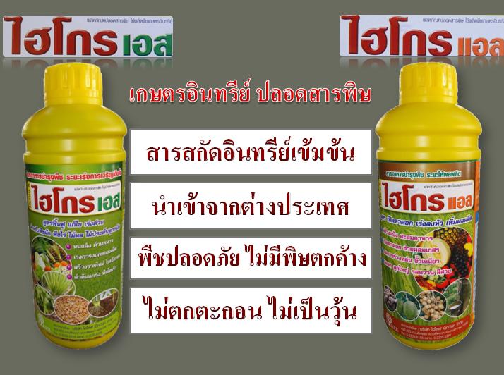 เกษตรอินทรีย์ยุคใหม่ใช้ ไฮโกรเอส-ไฮโกรแอล อาหารเสริมพืช ผลผลิตเพิ่ม รายได้ทวีคุณ รูปที่ 2