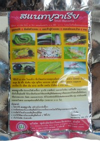 บิวเวอร์เรีย | บิวเวอร์เรีย  ปลีก-ส่ง  รับผลิต  บิวเวอร์เรีย  ตามออเดอร์ เชื้อราบิวเวอร์เรีย ป้องกันเพลี้ย หนอน และ แมลง รูปที่ 1
