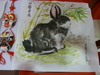 รูปย่อ ตรุษจีน 2011 ต้อนรับปีกระต่าย รูปที่3