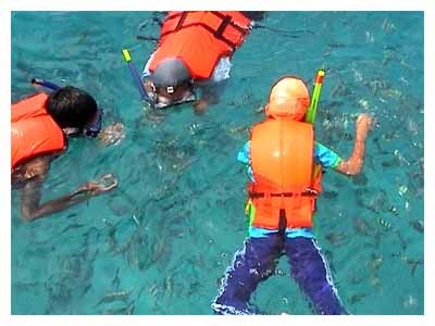 มีรถ กรุงเทพ-เกาะช้าง 1.3 ที่ ถึงเกาะช้าง 07.00,08.00 น.ทุกวัน รูปที่ 1