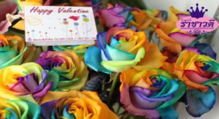 กุหลาบสีรุ้ง สั่งตรงจากประเทศฮอลแลนด์ Rainbow Roses สำหรับคนพิเศษของคุณ ที่นี่ที่เดียว จำนวนจำกัด 1,000 ดอกเท่านั้นค่ะ รูปที่ 1