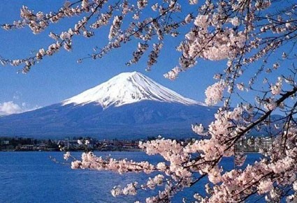 เที่ยวญี่ปุ่น ดูซากุระ 2011 ราคาถูก รูปที่ 1