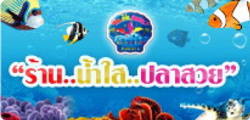 จำหน่ายปลาสวยงาม รูปที่ 2