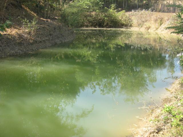 ที่ดิน 6 ไร่ ก่อนถึงกฤษดาดอยเชียงใหม่(6 rai of land before Krisda Doi Chiang Mai)  รูปที่ 2