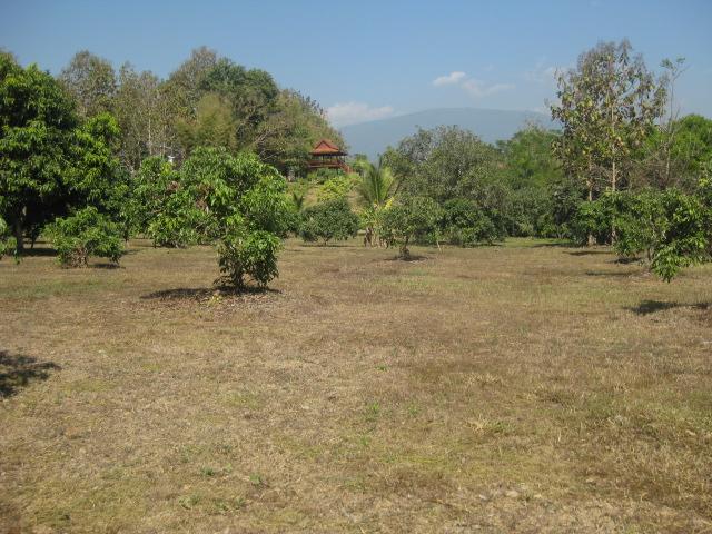 ที่ดิน 6 ไร่ ก่อนถึงกฤษดาดอยเชียงใหม่(6 rai of land before Krisda Doi Chiang Mai)  รูปที่ 3