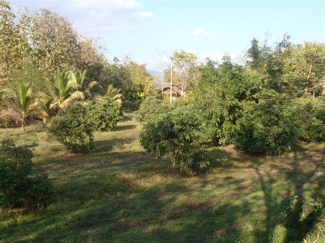 ที่สวยเชียงใหม่(Beautiful Land Chiang Mai) รูปที่ 3