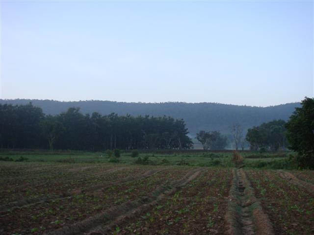 ที่สวยเชียงใหม่(Beautiful Land Chiang Mai) รูปที่ 5
