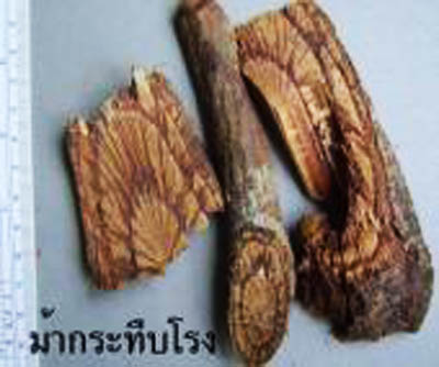 กาแฟโกลด์ คอฟฟี่ แก้ปัญหาโรคเบาหวาน รูปที่ 7