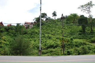 ที่ดินภูเก็ตซีวิว 180 องศา(Phuket Seaview of land 180 degrees) รูปที่ 3