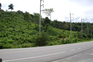 ที่ดินภูเก็ตซีวิว 180 องศา(Phuket Seaview of land 180 degrees) รูปที่ 2