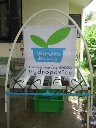 ขายเครื่องปลูกผักไฮโดรโปรนิกส์ ปลอดสารพิษ สนใจติดต่อ 086-9991839 หรือ www.thaihydrohobby.com รูปที่ 1