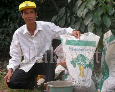 ฟื้นต้นโทรม เพิ่มผลผลิต เร่งการเจริญเติบโต ลดต้นทุน 50% เพิ่มผลผลิต 200%(ประสบการณ์จากผู้ใ้ช้จริง) รูปที่ 3