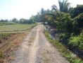 ที่ดินเหมาะปลูกปาล์มและยางพารา(Suitable land planted palm and rubber)