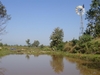 รูปย่อ ที่ดินเหมาะปลูกปาล์มและยางพารา(Suitable land planted palm and rubber) รูปที่3