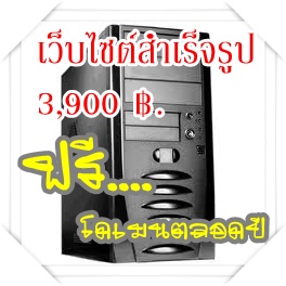 รับทำเว็บไซต์ รูปที่ 1