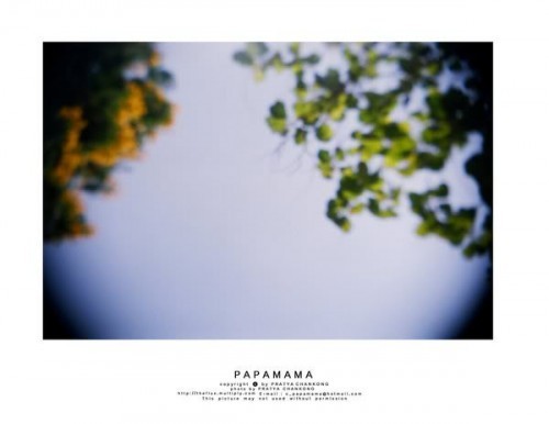 ขายGakken flex 35mm twin lens reflex DIY Kit กล้องประกอบเอง ของแท้จากญี่ปุ่นค่าาา รูปที่ 6