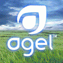 Agel Enterprise โอกาสเป็นต้นสายของเอเชียกับธุรกิจระดับโลก รูปที่ 1