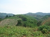 รูปย่อ ที่ดินเชียงรายสวยหลายแปลง(Chiang Rai several land conversion)  รูปที่4
