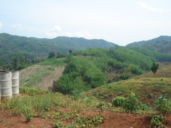 ที่ดินเชียงรายสวยหลายแปลง(Chiang Rai several land conversion)  รูปที่ 3