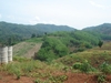 รูปย่อ ที่ดินเชียงรายสวยหลายแปลง(Chiang Rai several land conversion)  รูปที่3