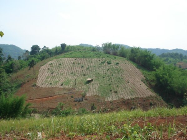 ที่ดินเชียงรายสวยหลายแปลง(Chiang Rai several land conversion)  รูปที่ 1