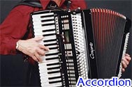 รับสอนเล่นเครื่องดนตรี Accordion รูปที่ 2