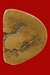 รูปย่อ ให้บูชาหลวงปู่ทิม วัดละหารไร่ ปี18 รูปหล่อองค์ลอย รุ่นไตรมาส สภาพสวย รูปที่4