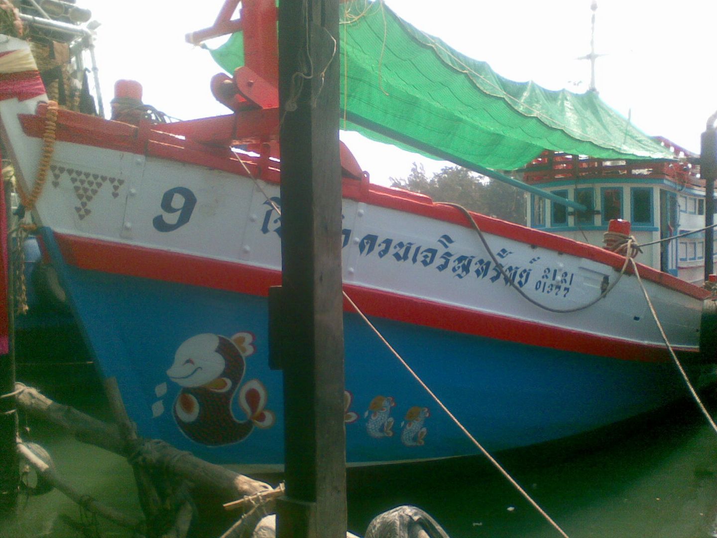 ขายเรือประมง ขนาด 18.50 เมตร พร้อมอวนและเครื่องมือในการหาปลาครบชุด รูปที่ 1